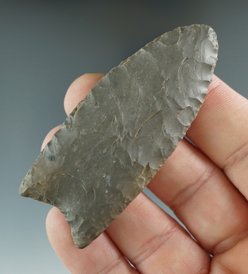 2 9/16" Clovis made from dark gray Chert, found in Montgomery Co., Kentucky. Rogers COA.