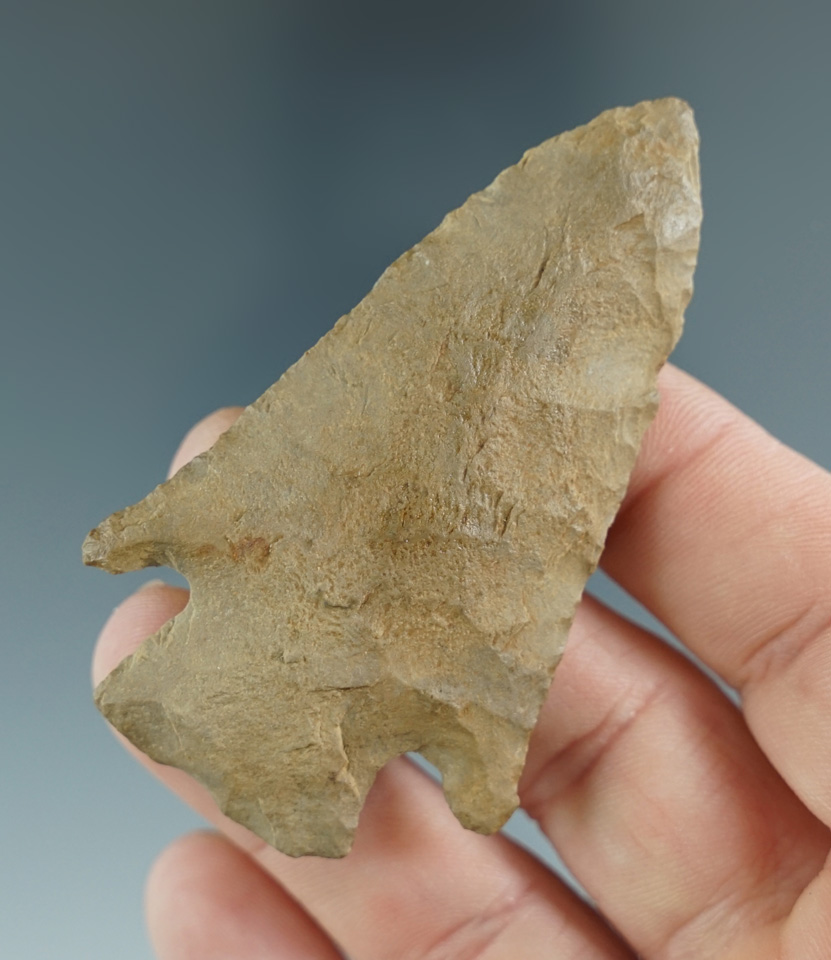 2 11/16" Cornernotch Knife found in Livingston Co., Kentucky. Ex. Henry English Collection.