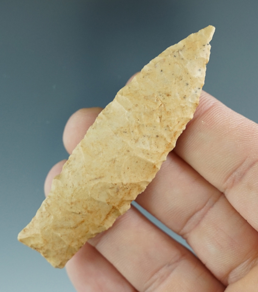 2 13/16" Victoria found in Wilson Co., Texas. Comes with a Rogers COA.