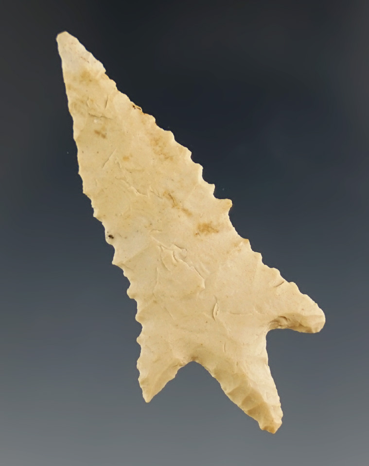 1 15/16" Perdiz found in Coryell Co., Texas. Comes with a Rogers COA.