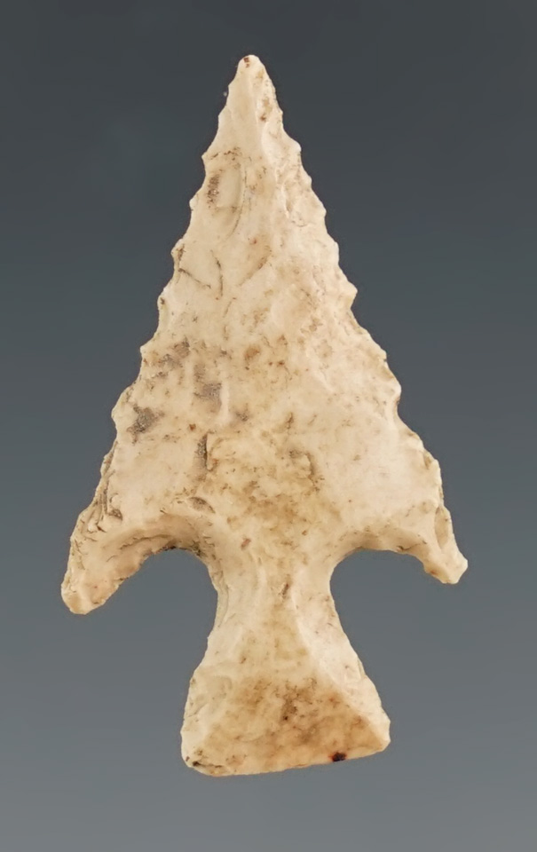 1 1/8" Scallorn found in Texas.