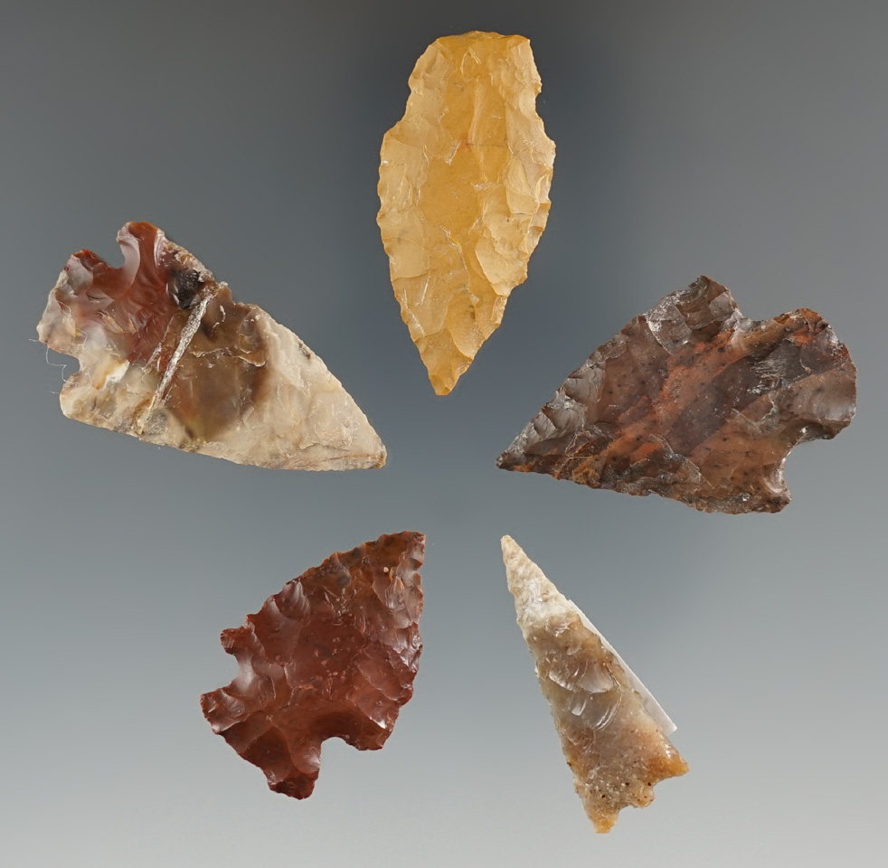 Set of five Columbia River Points found by Norma Berg in the 1950s. Certificate of origin & Bennett