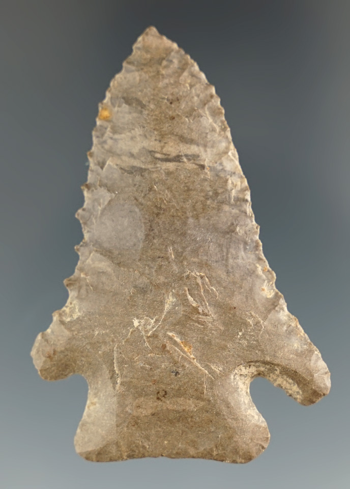 2 3/16" Pine Tree Point made from Fort Payne Chert found in Lincoln Co., Kentucky. Ex. Henry English
