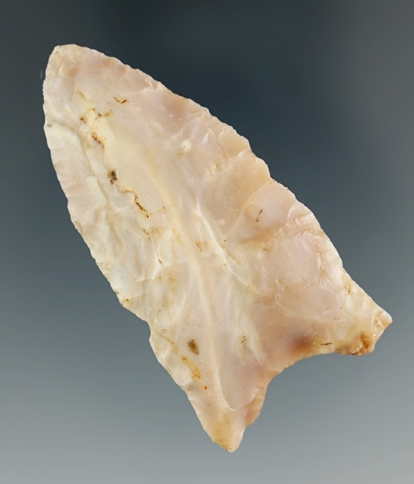 2 3/16" Paleo Fluted Clovis made from pink and cream high quality Flint. Found in Illinois.