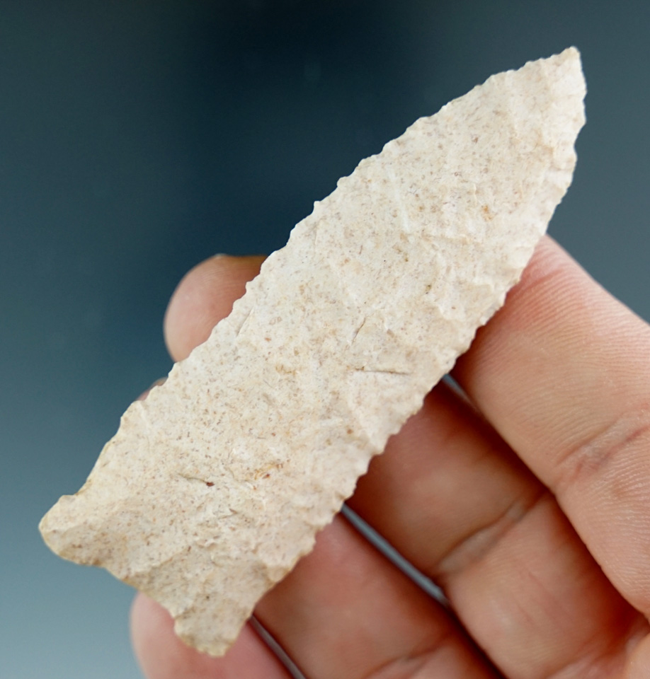 2 7/8" Dalton Breckenridge-  Missouri. Ex. Charles Shewey Collection, David Bogle. 2 COA's.