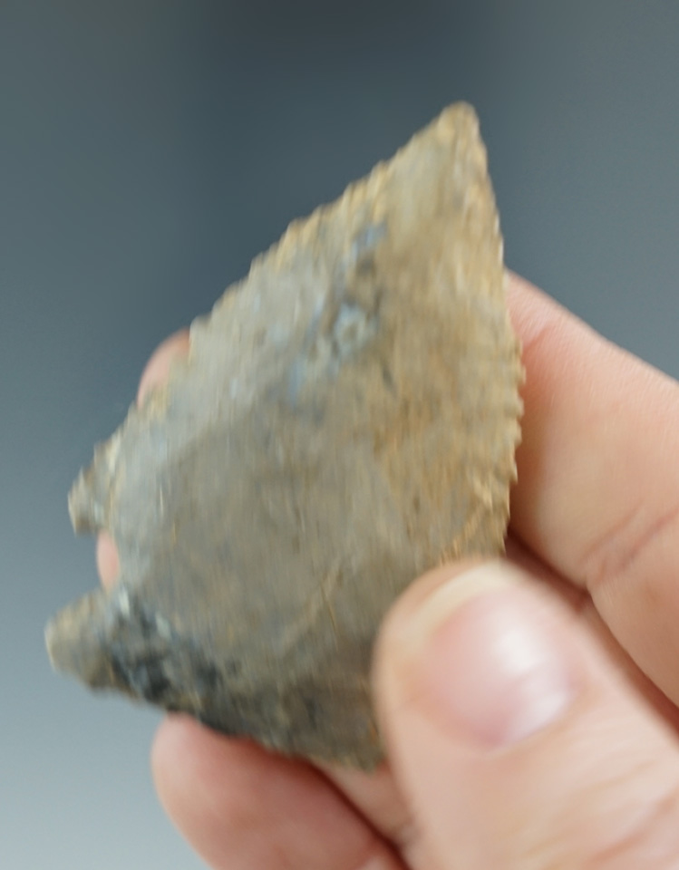 2 3/8" Archaic Knife with nice serrations found in Hardin Co., Kentucky. Ex. Henry English Collectio