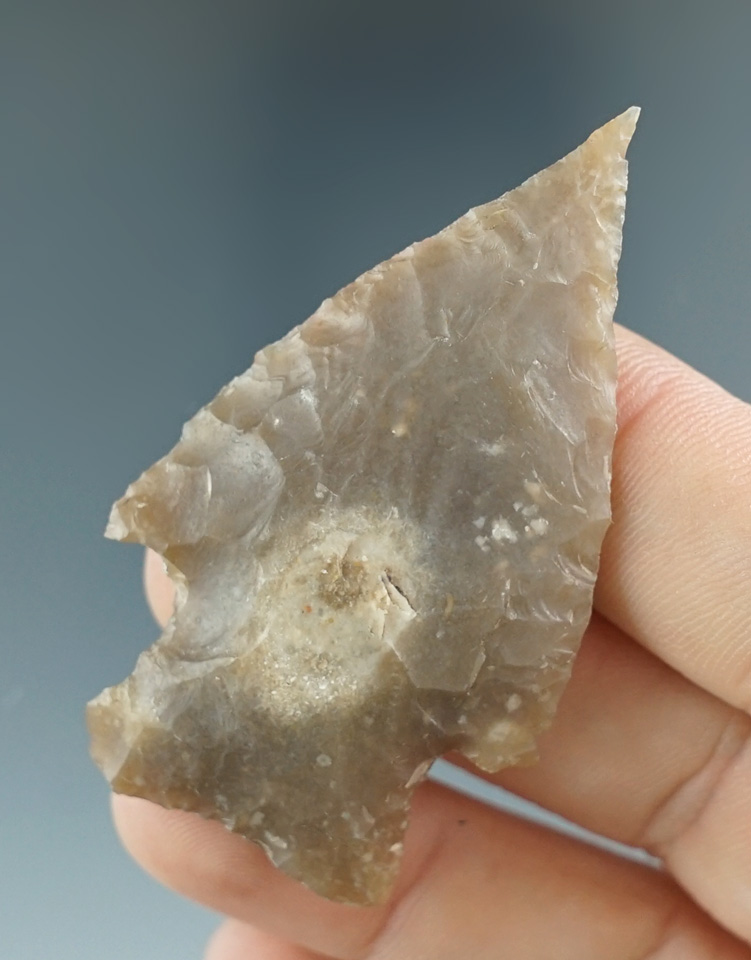 2 3/16" Marshall found in Kimble Co., Texas. Comes with a Rogers COA.