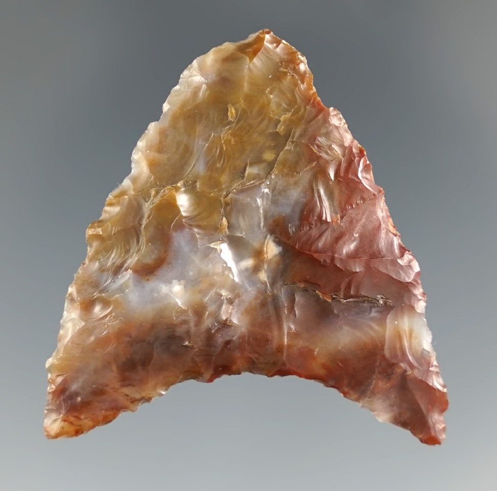 Beautiful material on this 1 11/16" Columbia Mule Ear made from multi-colored Agatized Wood. OR.