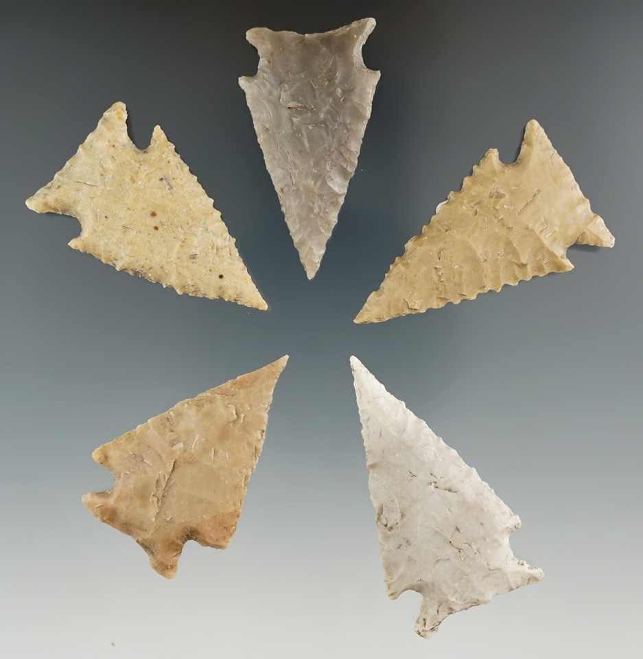 Excellent set of five Ensor Points found in Texas. All are in very nice condition. Largest is 2".