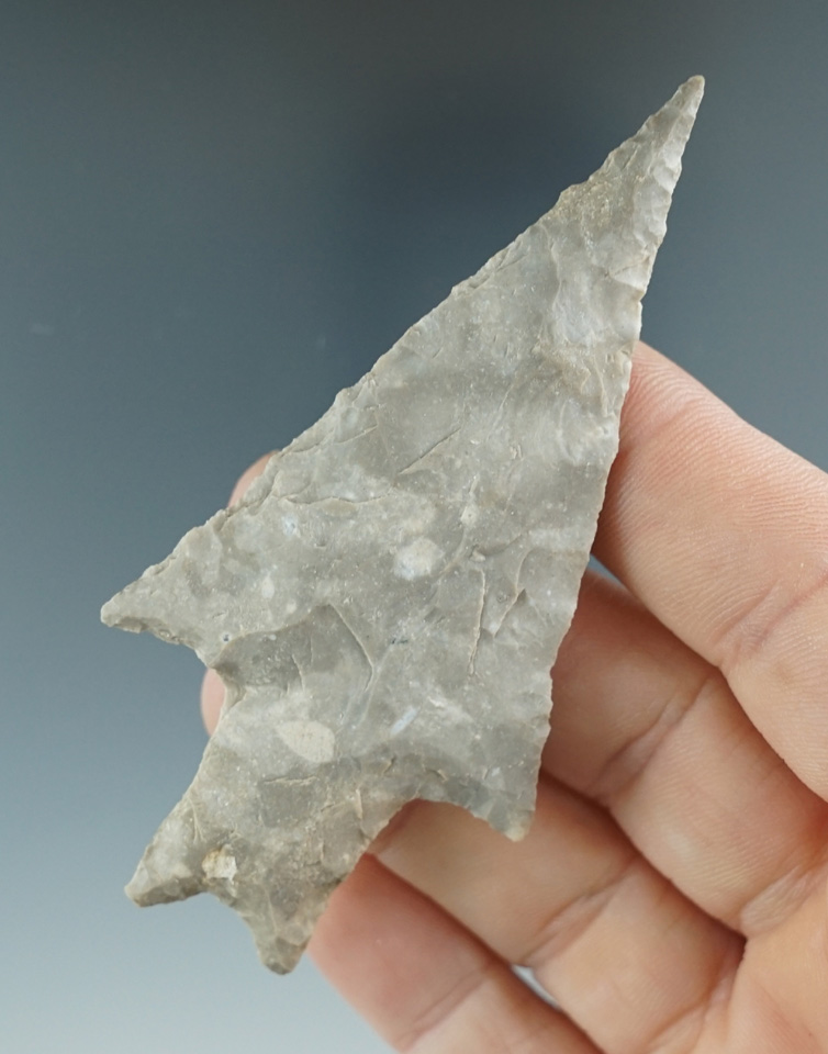 3 1/4" Pedernales made from well patinated Chert, found in Coryell Co., Texas. Rogers COA.