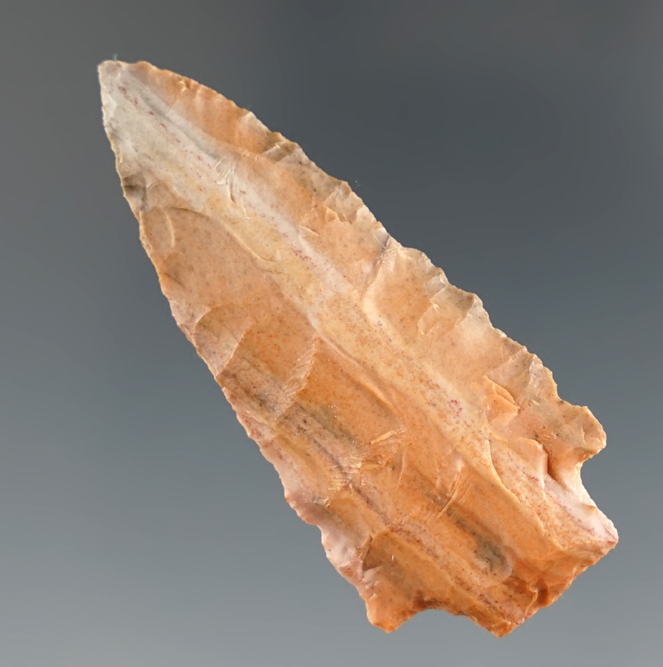 2" Gatecliff - multi-colored Flint. Found near the Columbia River, Oregon. Comes with a Davis COA.