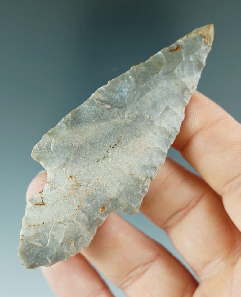 3 1/4" Hornstone Turkey Tail with restoration to 3/16" of tip found in Indiana.