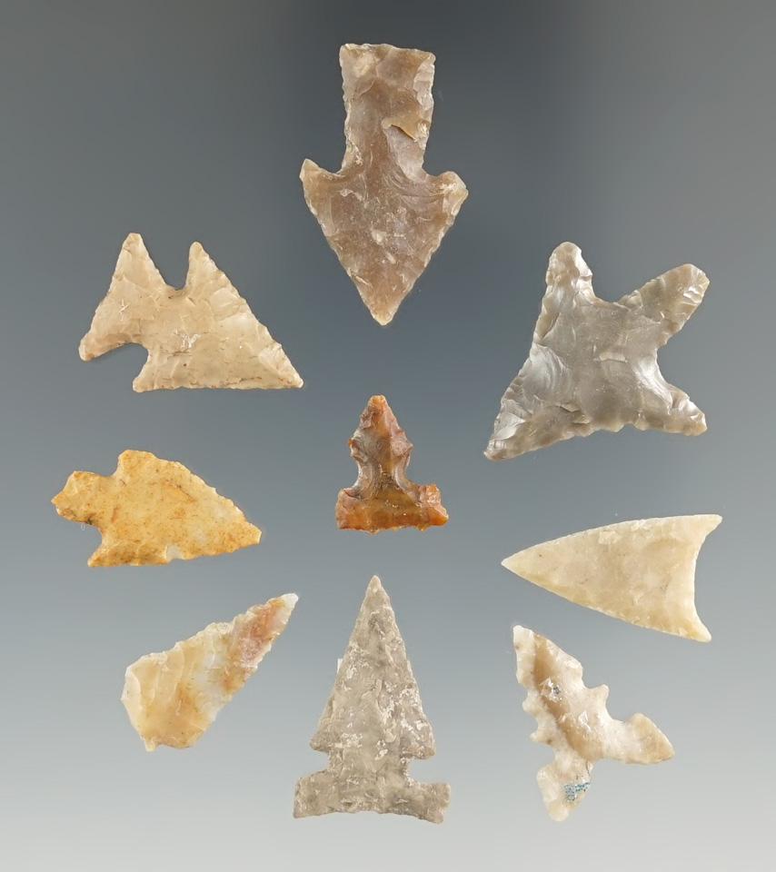 Group of nine assorted Texas Bird Points, largest is 1".