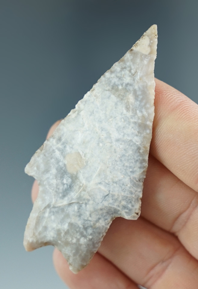 Well flaked 2 5/8" Pedernales Point found in Texas.