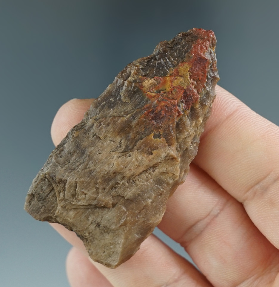 2 1/4" Plainview made from petrified wood, found in Jasper Co., Texas. Comes with a Rogers COA.