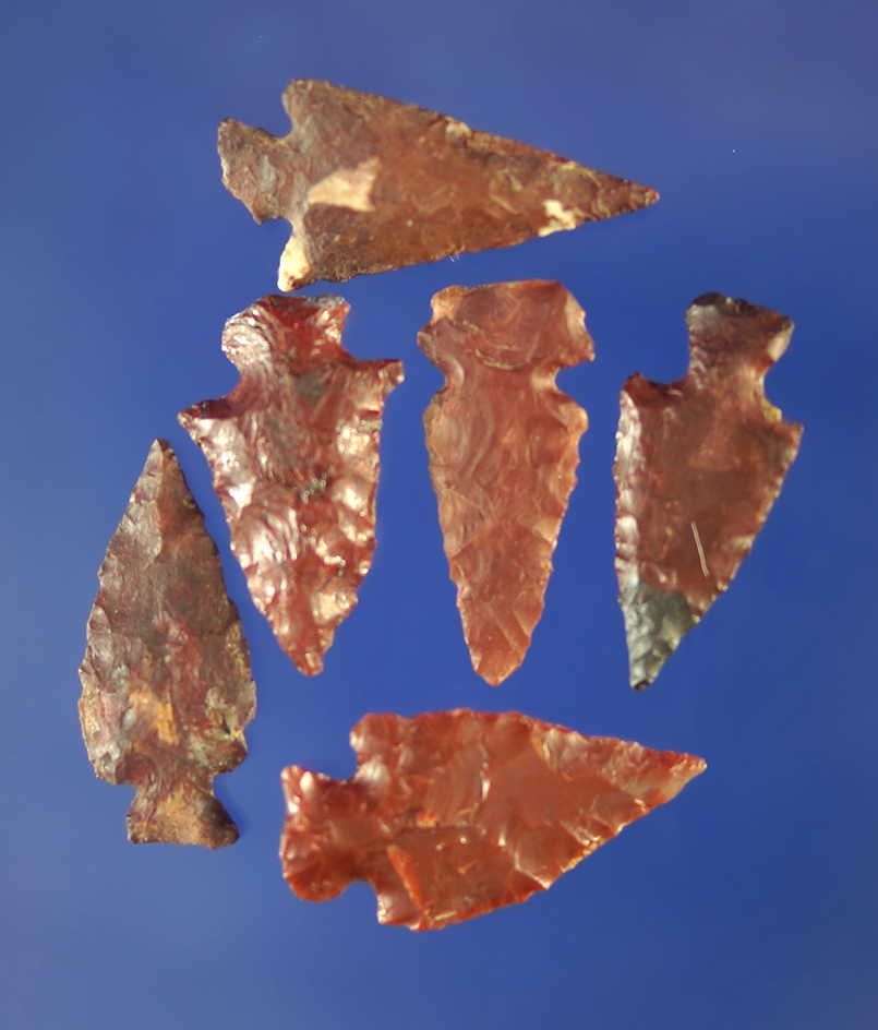 Set of six arrowheads made from attractive Jasper, largest is 7/8".    Columbia River.