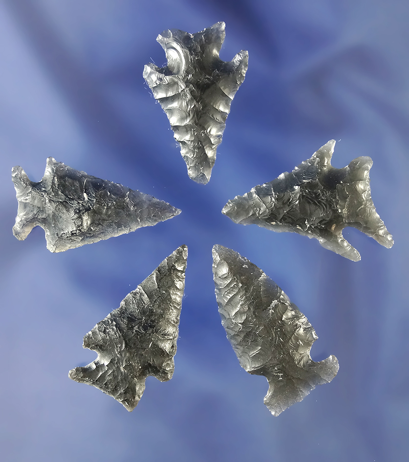 Set of five assorted obsidian arrowheads found near Fort Rock Oregon, largest is 1 5/16".