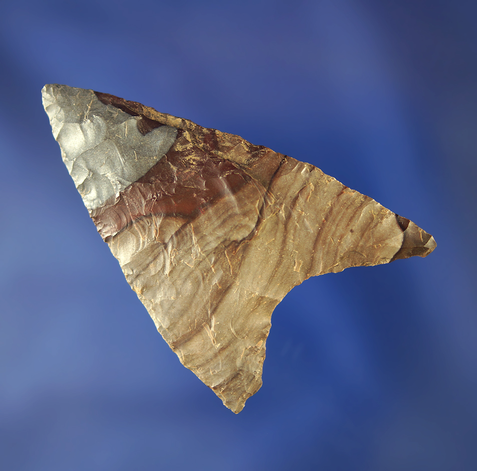 2 1/2" Columbia Mule Ear made from nicely banded material.    Columbia River.