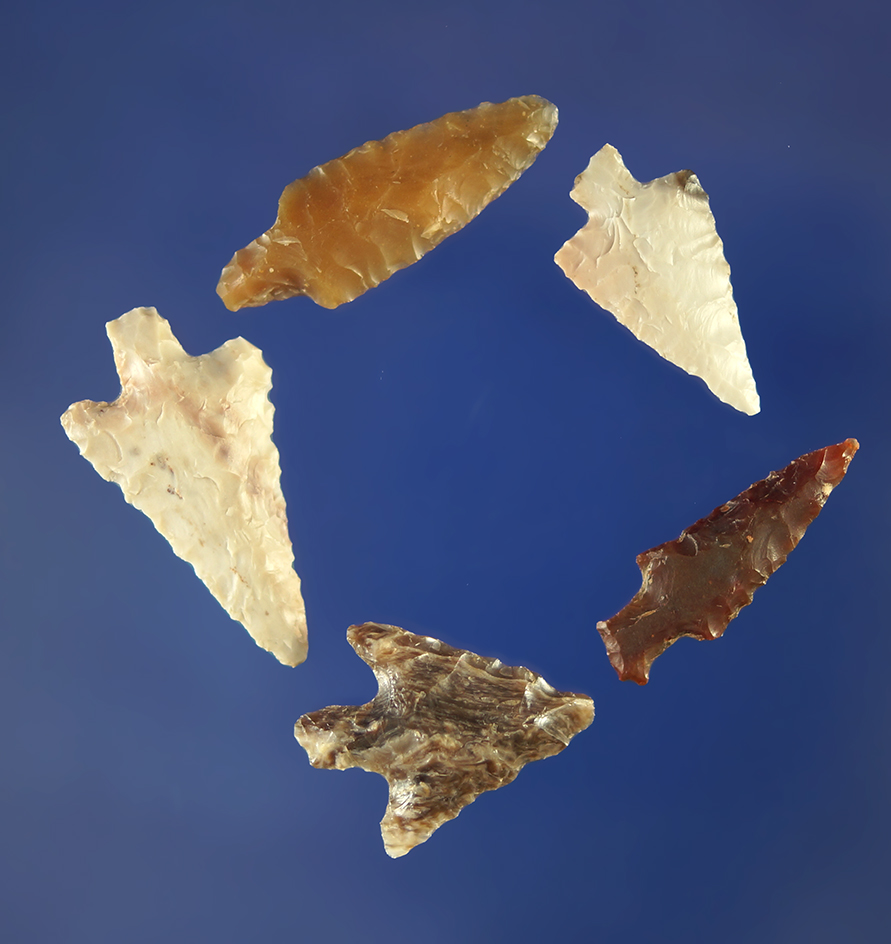 Set of five arrowheads nice condition, largest is 1".    Columbia River.