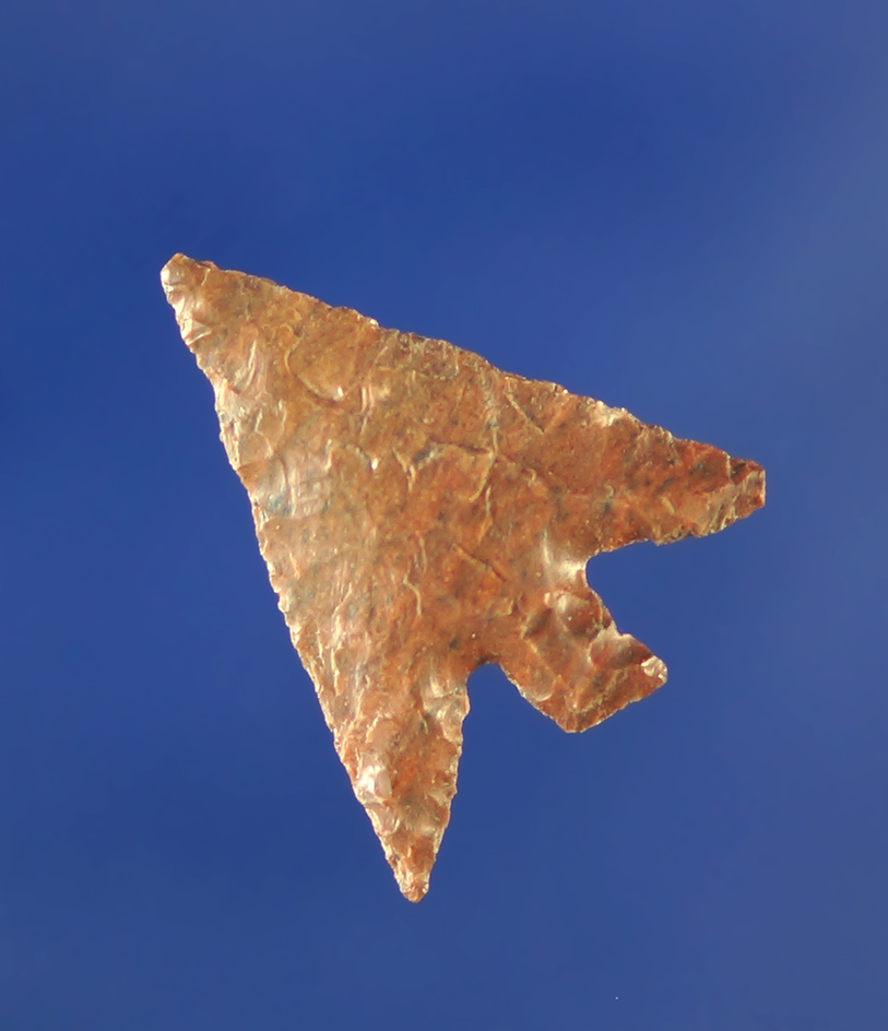 13/16" Columbia Plateau with nicely styled wings.    Columbia River.