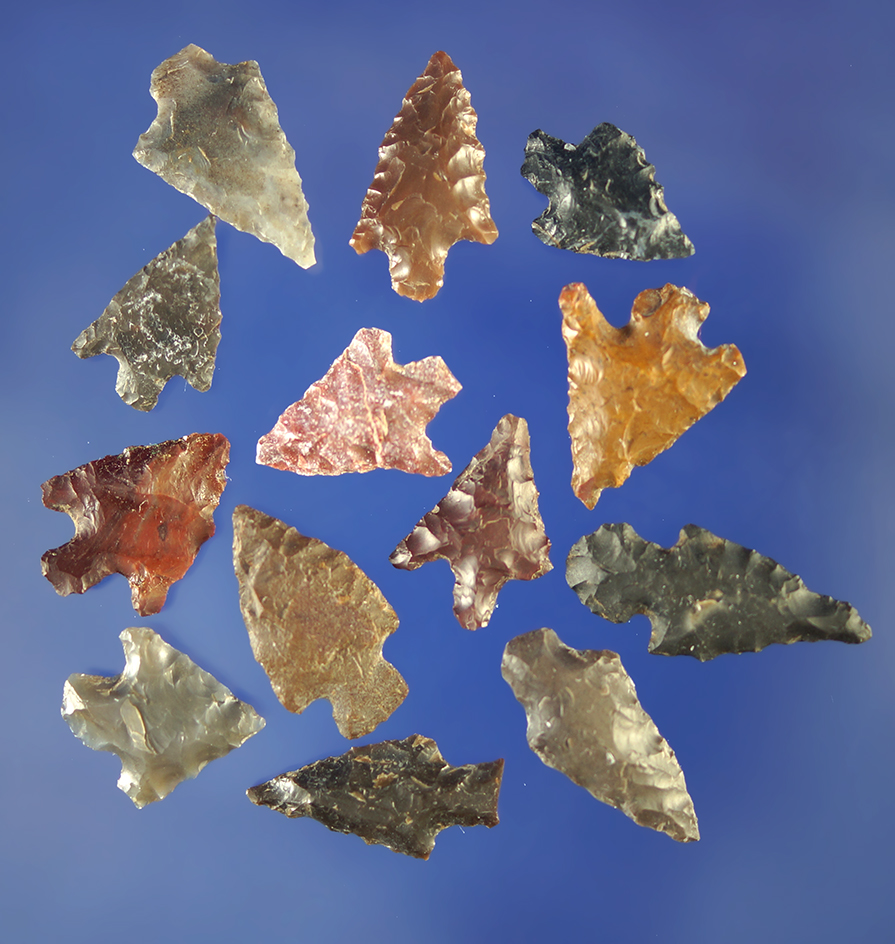 Group of 12 assorted Columbia River arrowheads. Largest is 3/4".    Columbia River.
