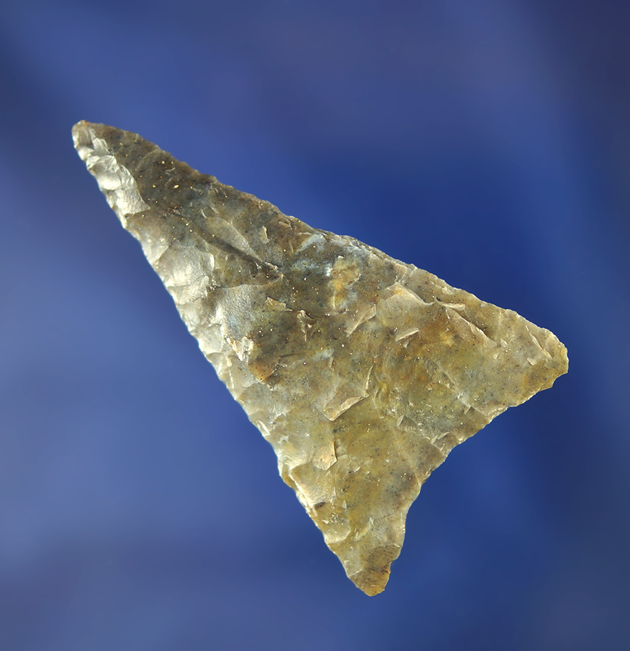 2 1/4" Columbia Mule Ear.    Columbia River.