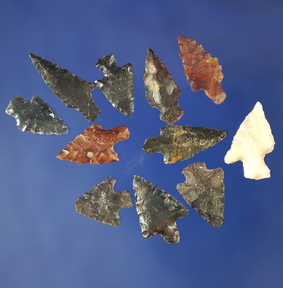 Group of 12 assorted Columbia River arrowheads, largest is 13/16".    Columbia.
