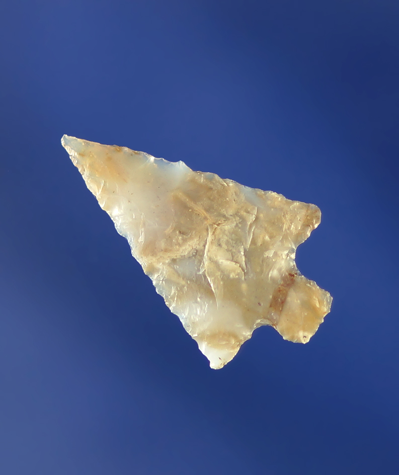 13/16" Wallula - classic style, thin and made from beautiful semi translucent material.