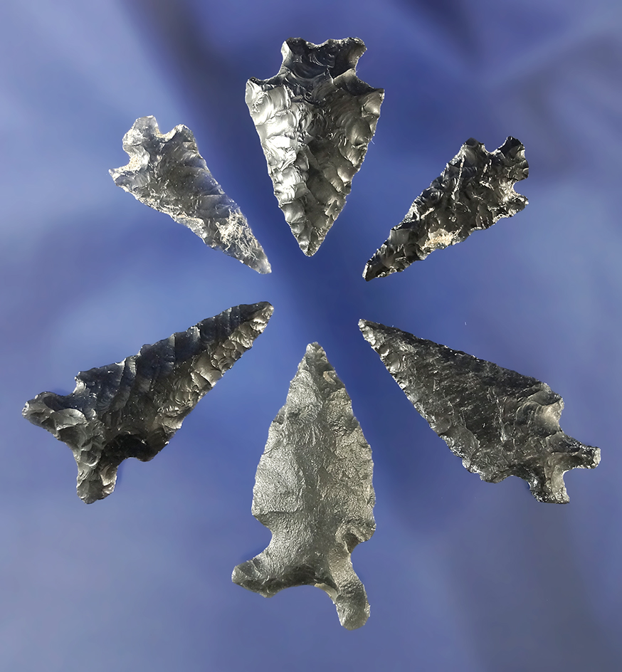 Set of six obsidian arrowheads found near Fort Rock Oregon, largest is 1 5/16".