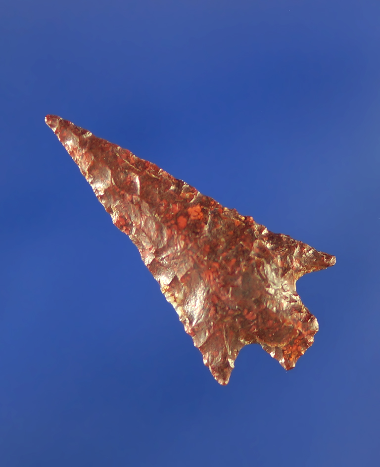 1" dark red Jasper Wallula.    Columbia River.