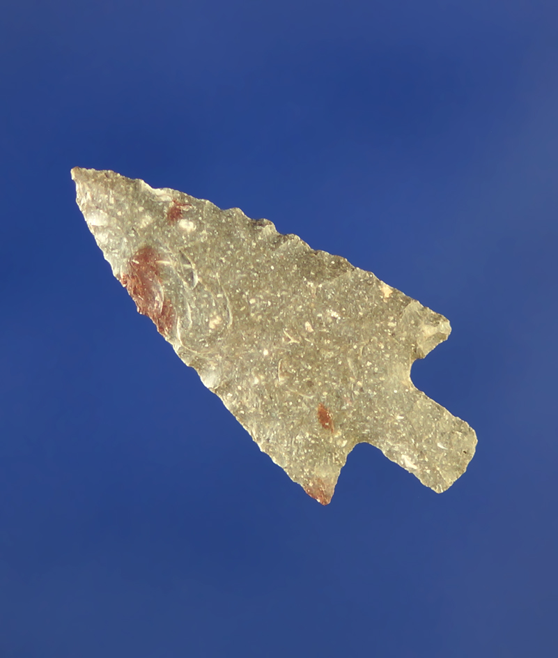 1" Wallula that is well flaked and nicely styled.    Columbia River.