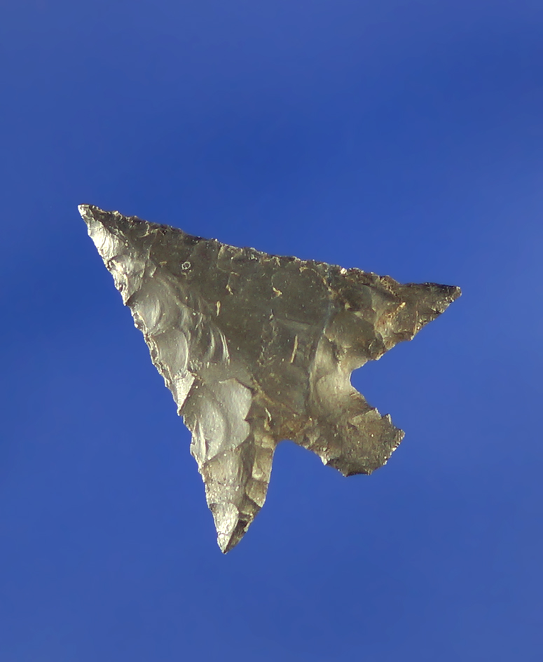 5/8" thin and nicely flaked Columbia Plateau.    Columbia River.