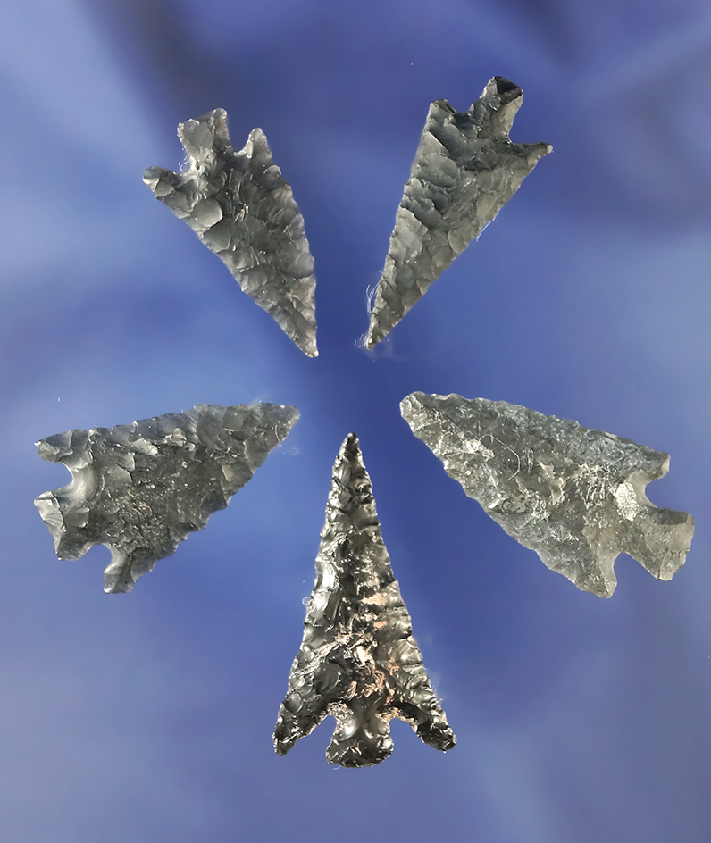 Set of five obsidian arrowheads found near Ft. Rock Oregon. Largest is 1 1/16".