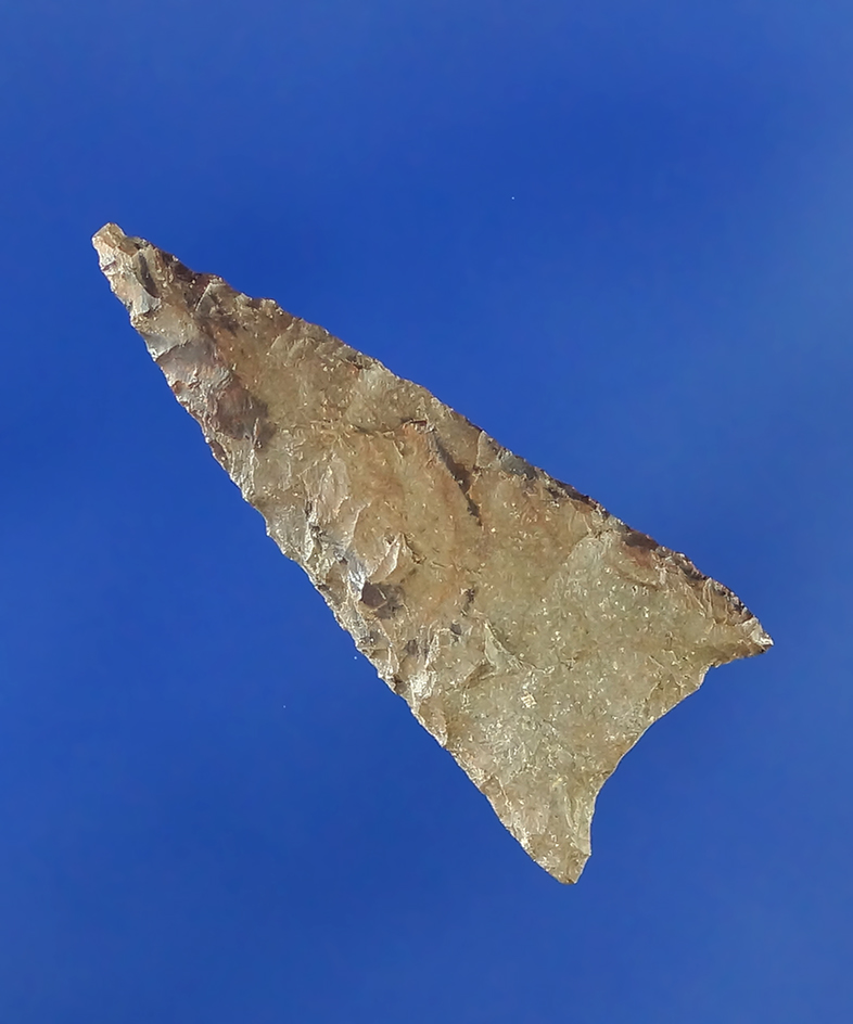 1" Cottonwood Triangular point that is thin and nicely flaked and very well patinated.