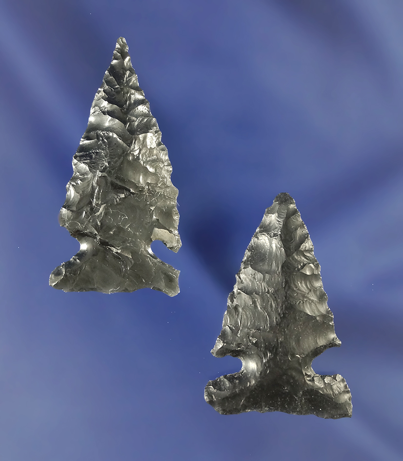 Nice pair of obsidian arrowheads found near Fort Rock, Oregon. Largest is 1 9/16".
