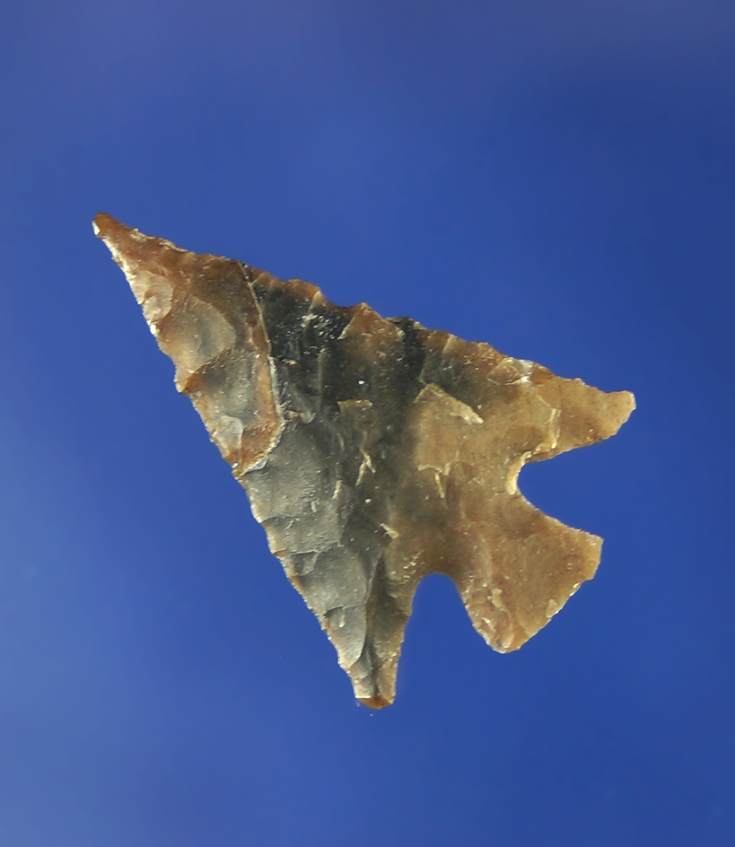 1" Columbia Plateau that is very well styled and nicely patinated. Columbia River.