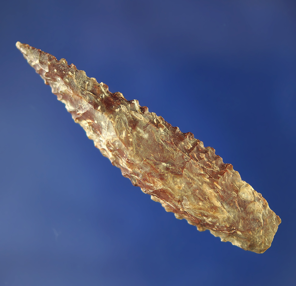 Nicely serrated 2 3/8" mottled Jasper point.    Columbia River.