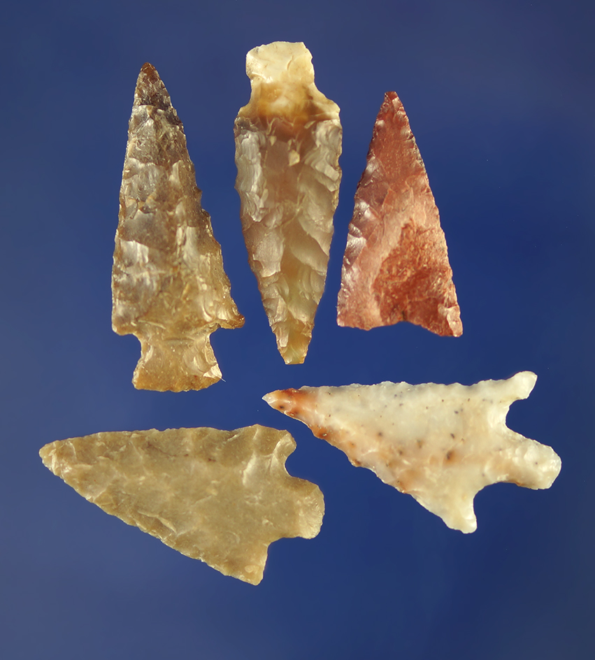Set of five Columbia River arrowheads in nice condition, largest is 1 3/16". Columbia River.