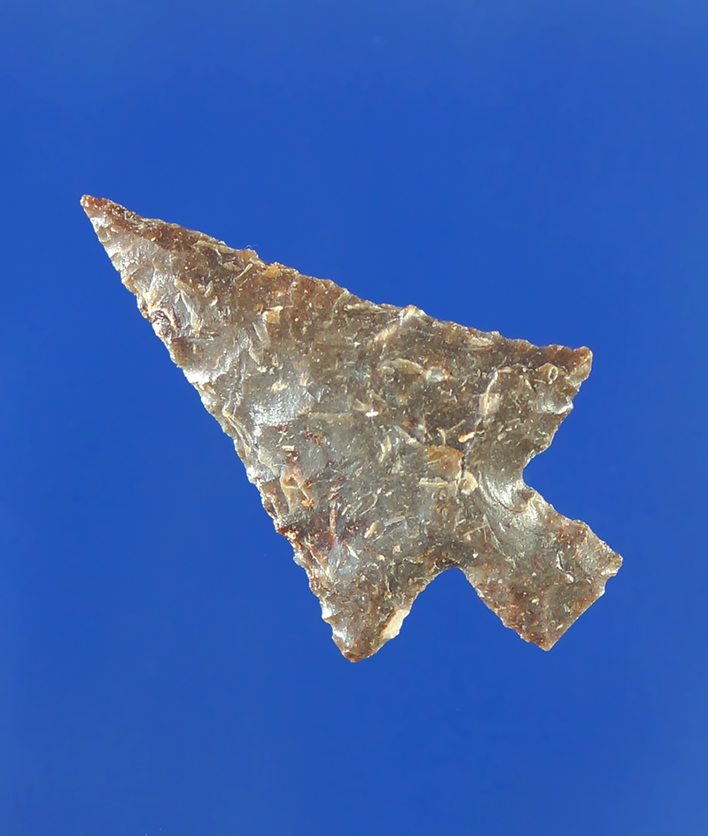 1  1/16" well styled and nicely shaped Wallula that is thin.     Columbia River.