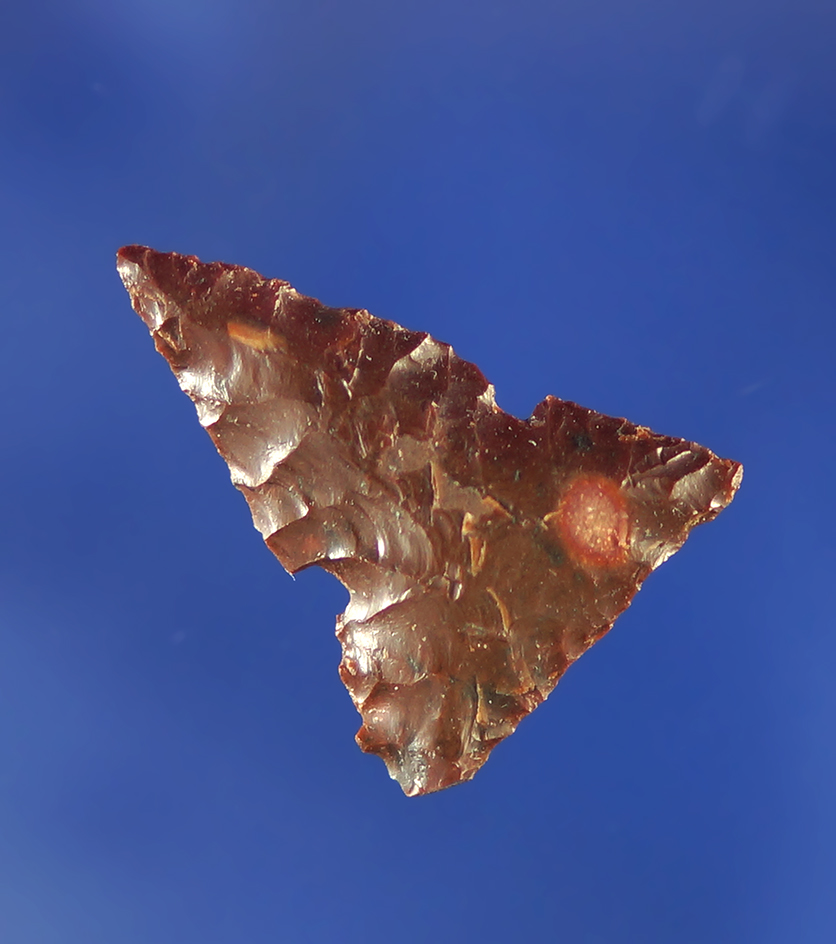 7/8" Desert Side Notch made from high-quality Jasper with nice flaking.  Columbia River.