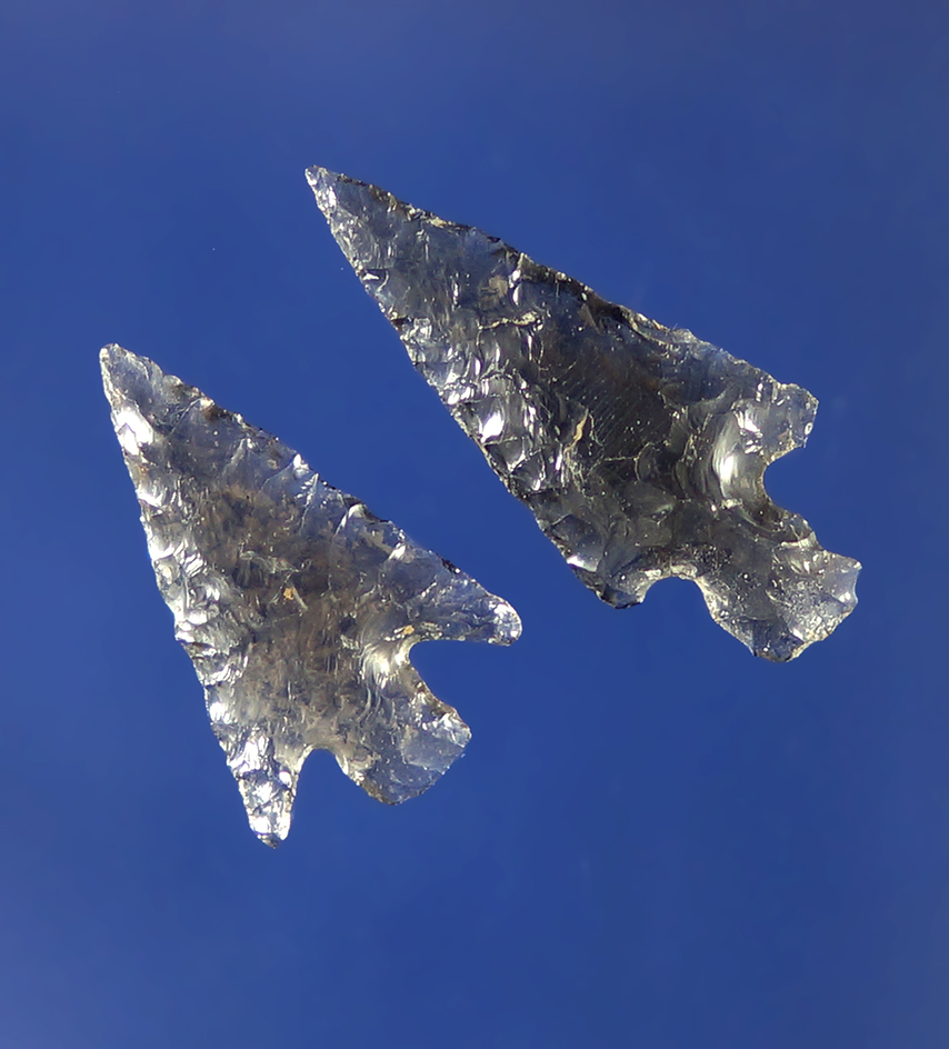 Pair of beautifully flaked obsidian arrowheads, largest is 1".    Columbia River.