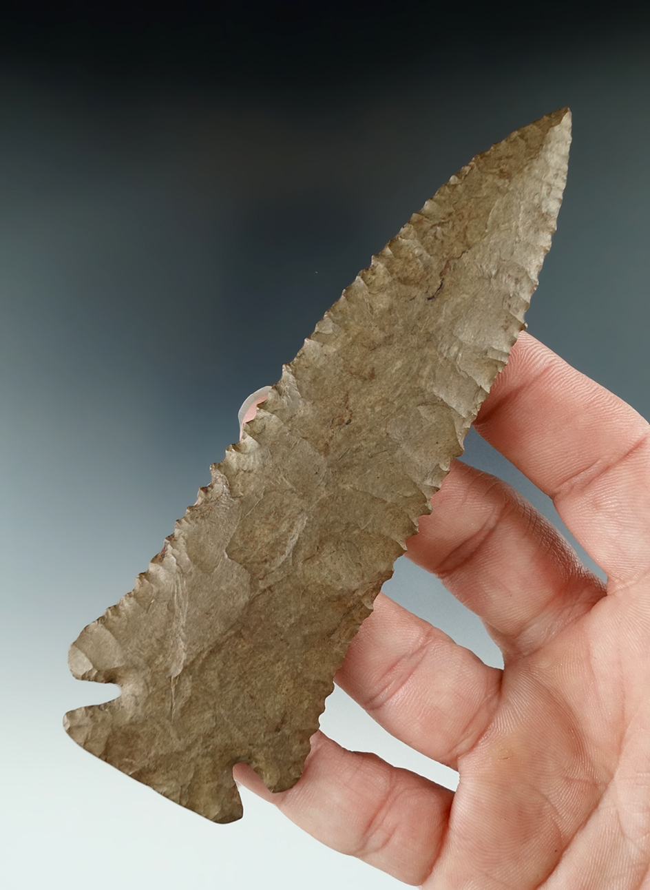 4 11/16" Nicely serrated Pinetree - Dover chert found in Franklin Co., Tennessee. 2 COAs.