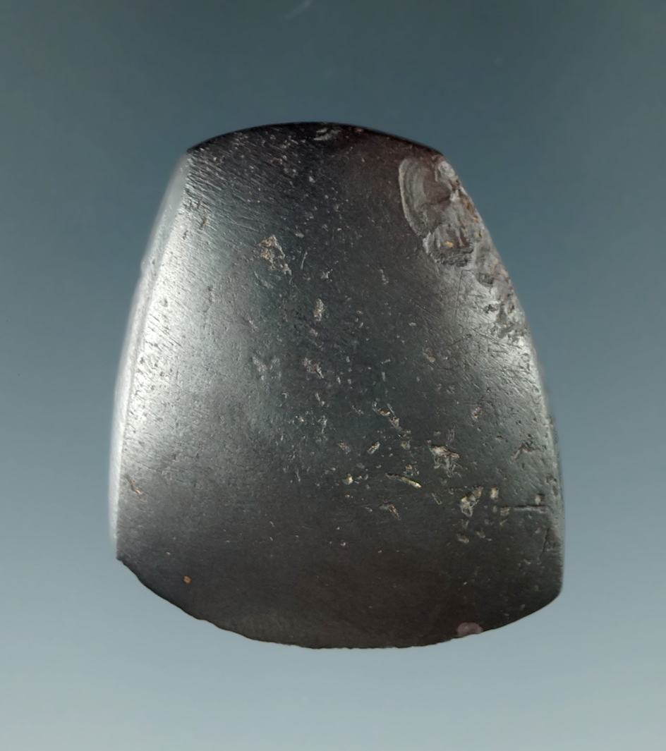 1 1/2" Miniature Hematite Celt that is nicely polished, personally found by Jim Mills in  Ohio.