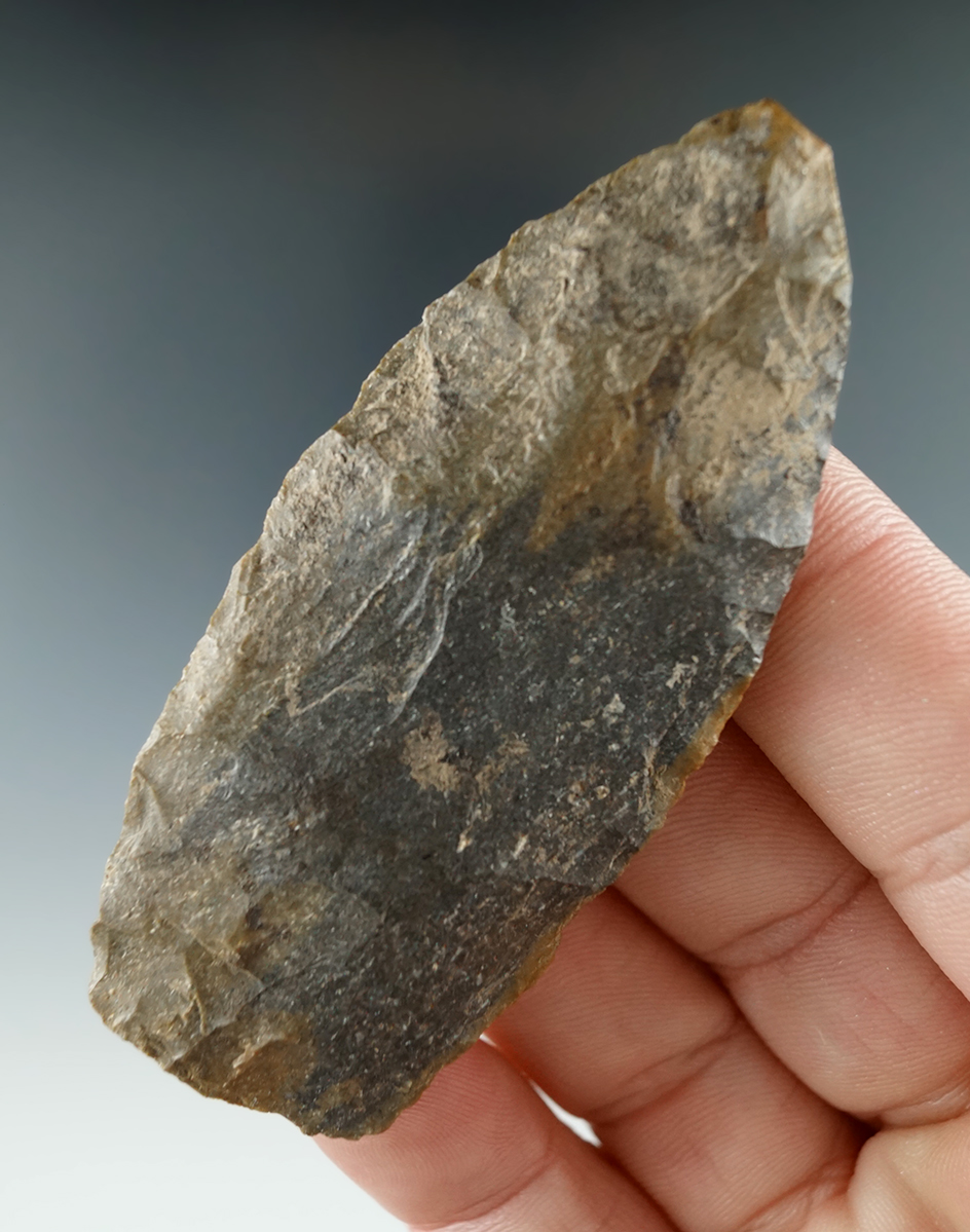 2 13/16" Paleo Lanceolate found in Harrison Co., Indiana. Comes with a Jackson COA.