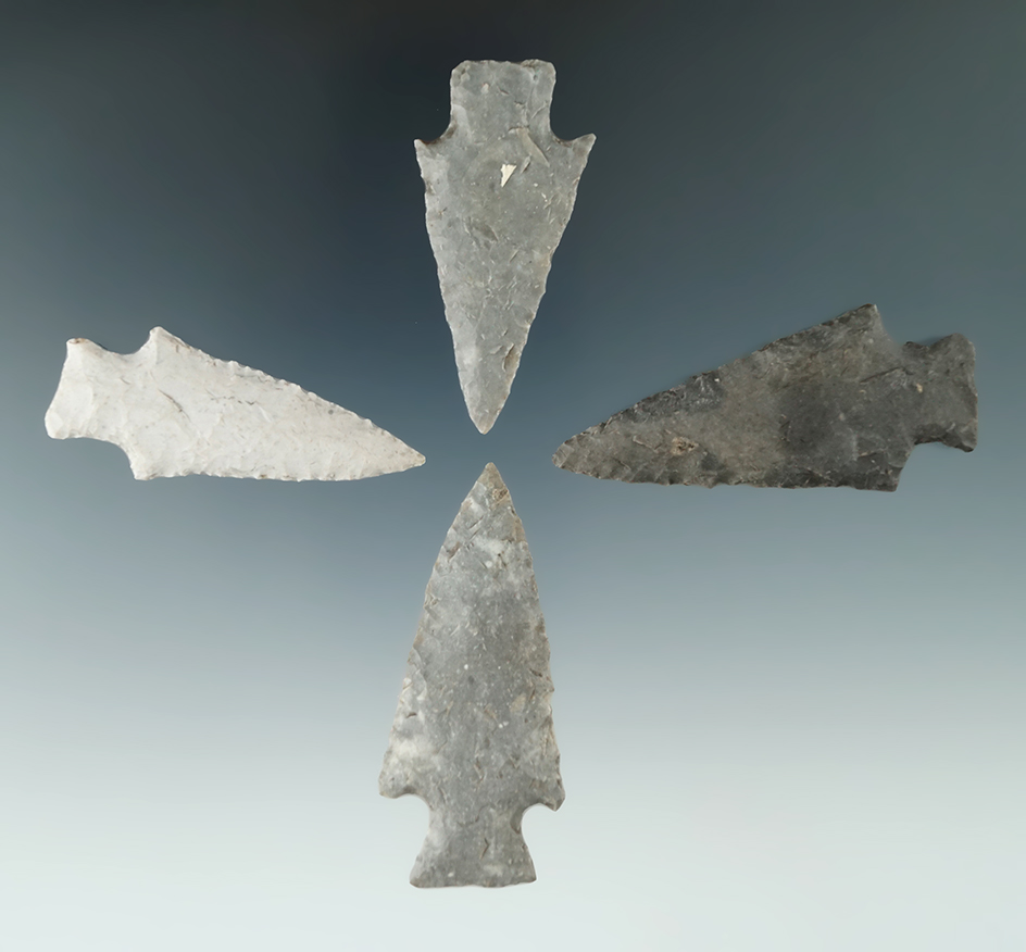 Set of four Lange points found in Texas, largest is 2 5/16".