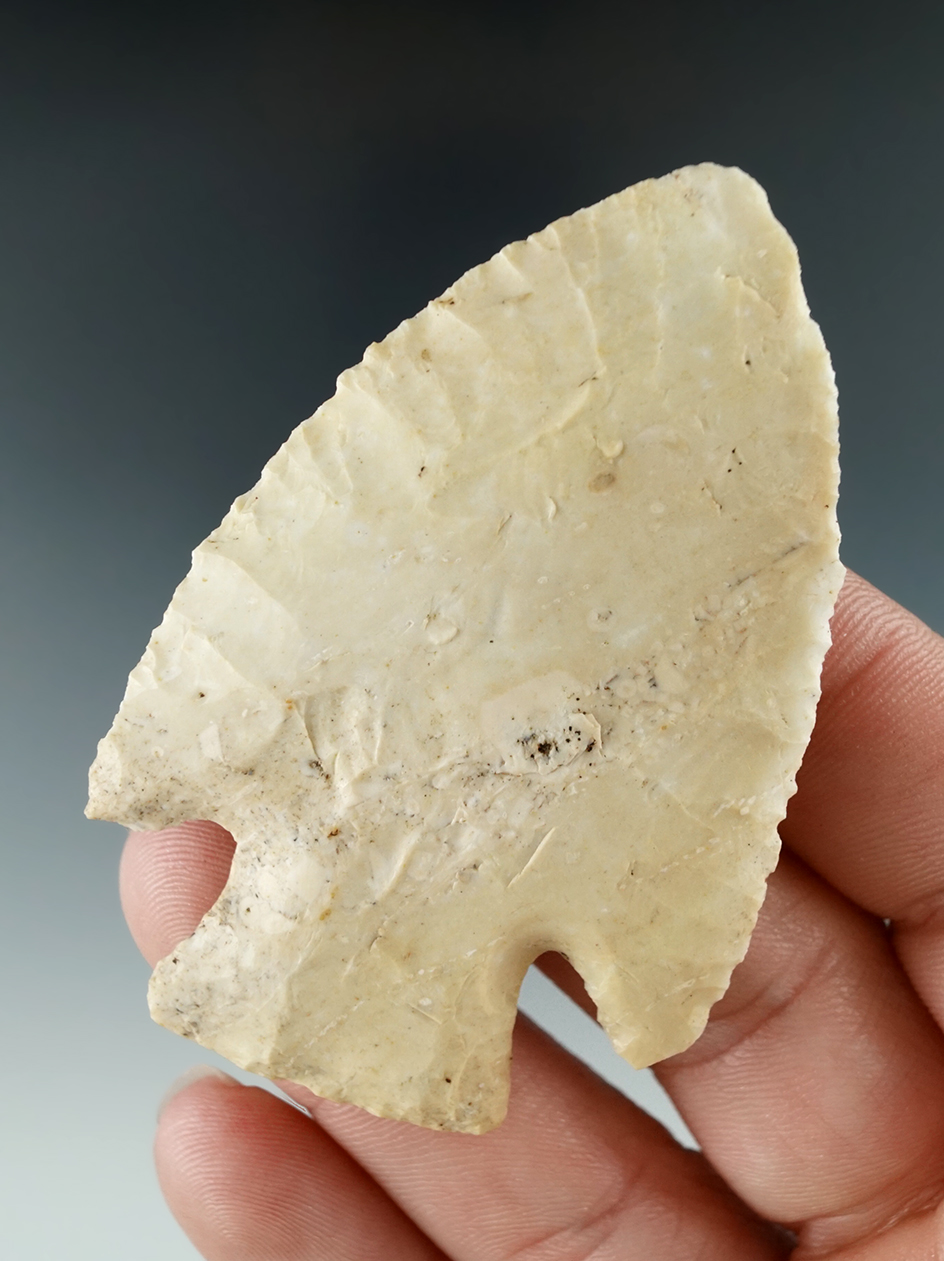 2 9/16" Hardin with excellent flaking found in Madison Co., Illinois.