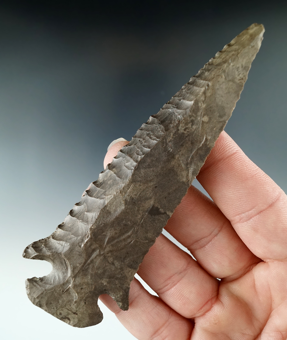 4 3/8" Beautifully flaked, steeply beveled Dovetail - Dover Flint found in Tennessee. 2 COAs.