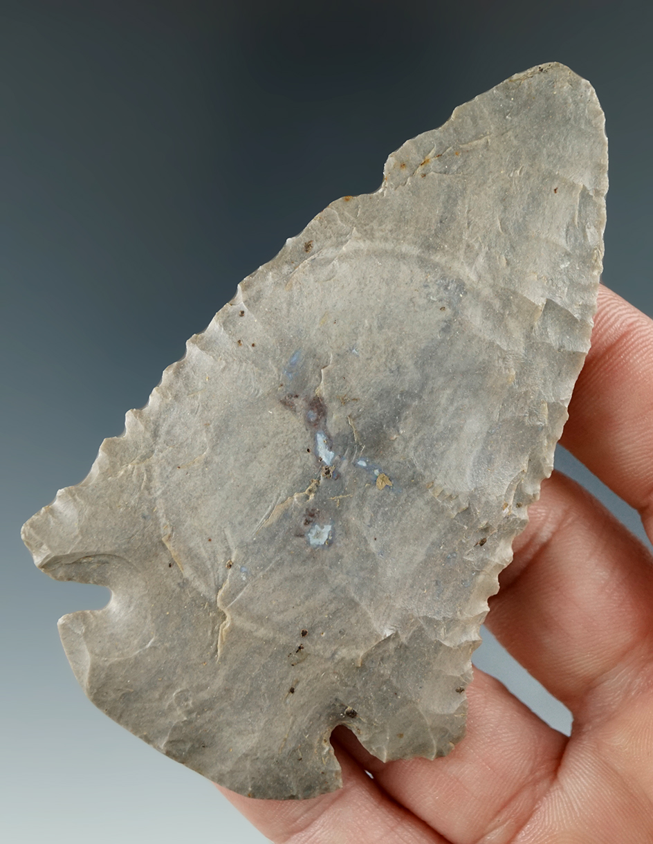 3 7/16" Wide Base Dovetail with nicely serrated Blade edges found in Daviess Co., Kentucky.