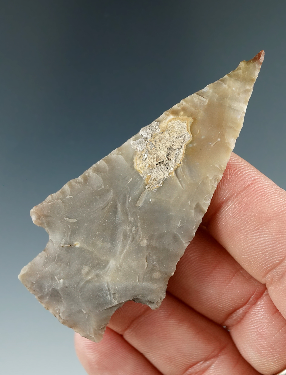 2 3/4" Well styled Lange point found in Texas.
