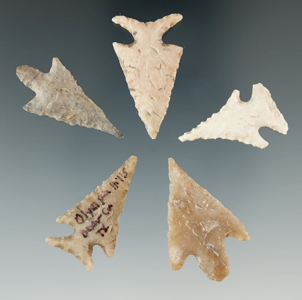 Set of five nicely styled Texas bird points/arrow points in excellent condition.